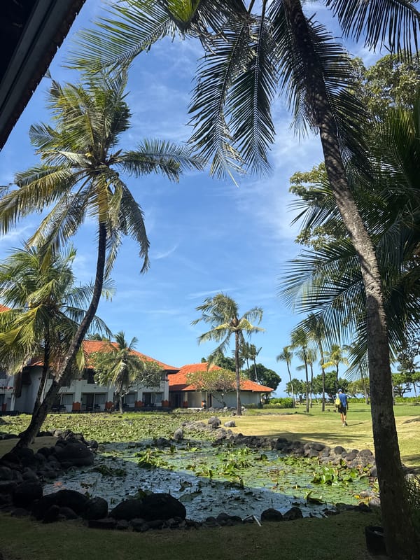 Woman makes hand gestures under palms in Kuta Selatan