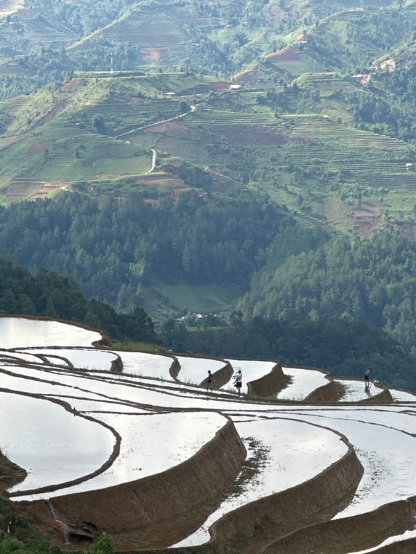 Motorcyclist documents terraced rice fields in Lao Chai, Vietnam