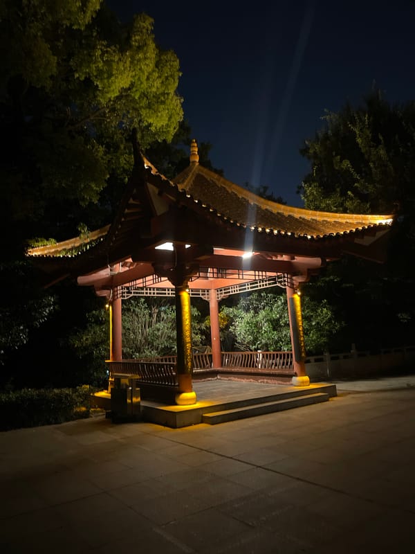 Nighttime scenes of illuminated East Asian architecture documented