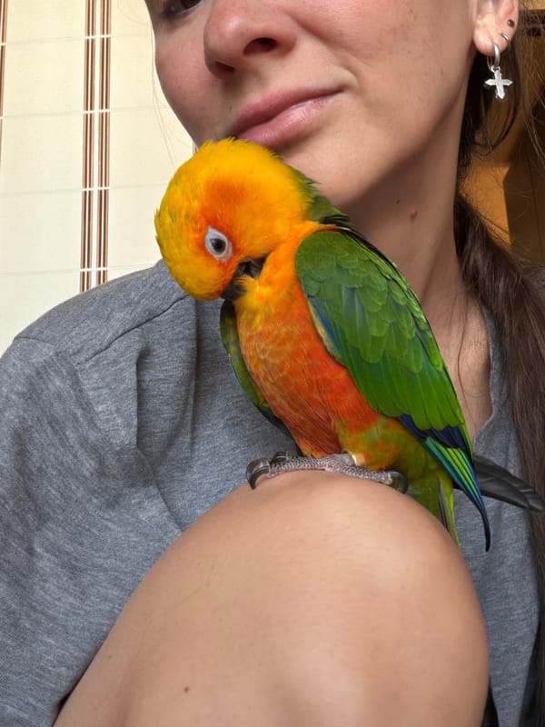 Woman with parrot spotted in Khimki kitchen early morning