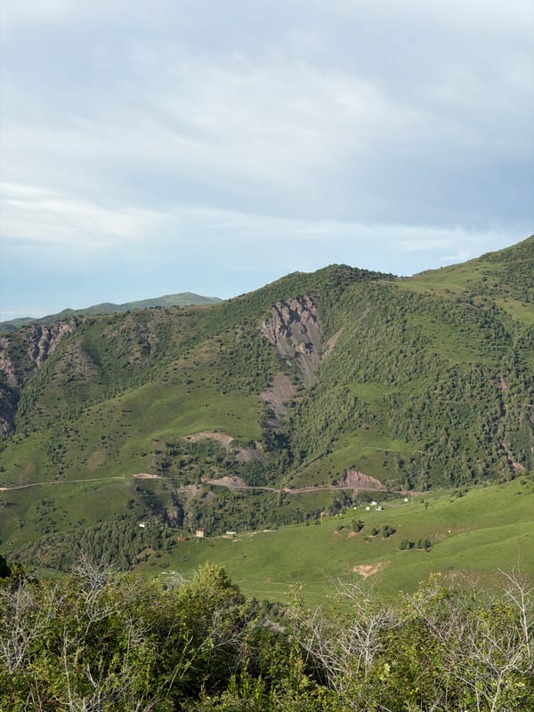 Wildflowers and green mountain slopes near Kashka Suu, Kyrgyzstan