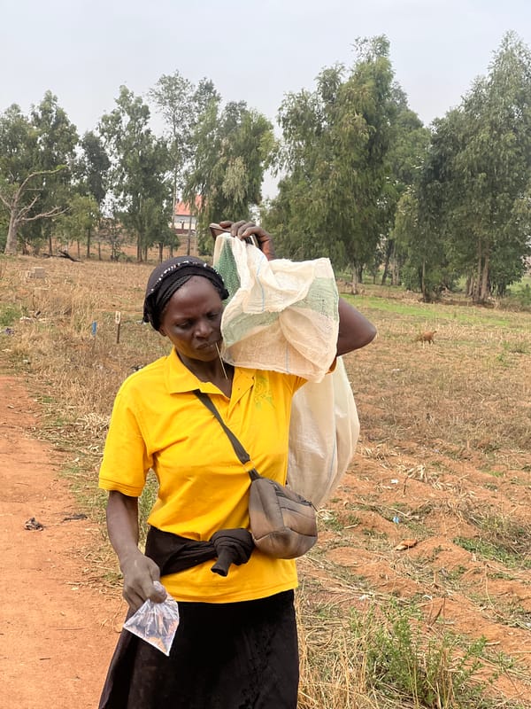 Women carrying daily supplies observed in two Nigerian communities