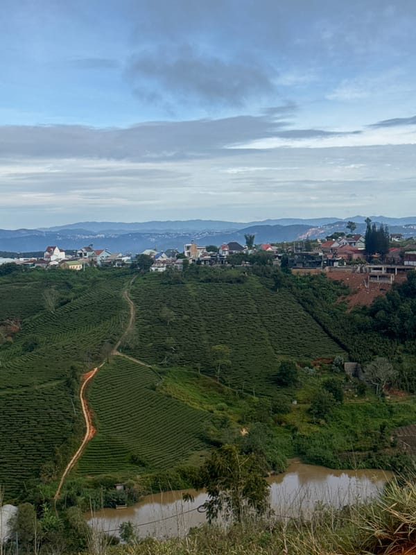 Rural Vietnam landscape documented with terraced fields, wind turbines
