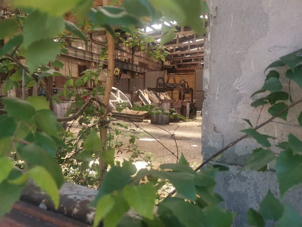 Abandoned industrial sites documented in rural Bulgaria villages