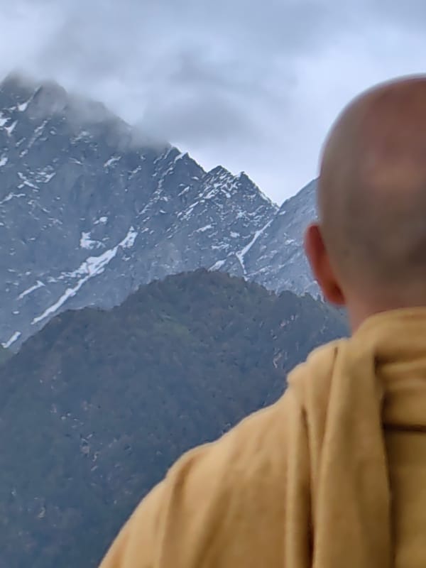 Mountain morning in Vashisht: clouds, birds, and Himalayan views