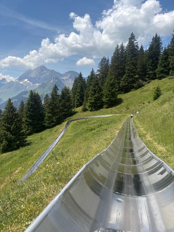 Sunny morning on Kandersteg's mountain toboggan run, Swiss Alps