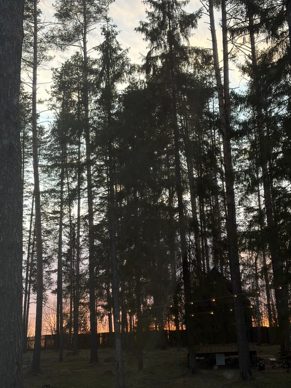 Forest scene and resting person captured in Malinovka, Russia