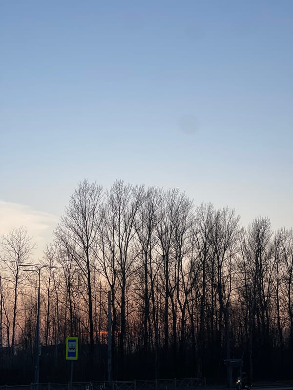 Everyday moments captured across Saint Petersburg during afternoon hours