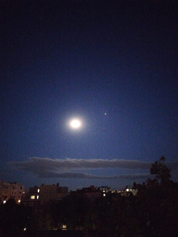 Evening moments captured across Sofia: moon, studies, yellow building