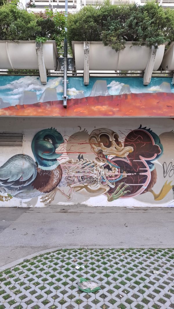 Anatomical bird mural spotted on Vienna concrete wall