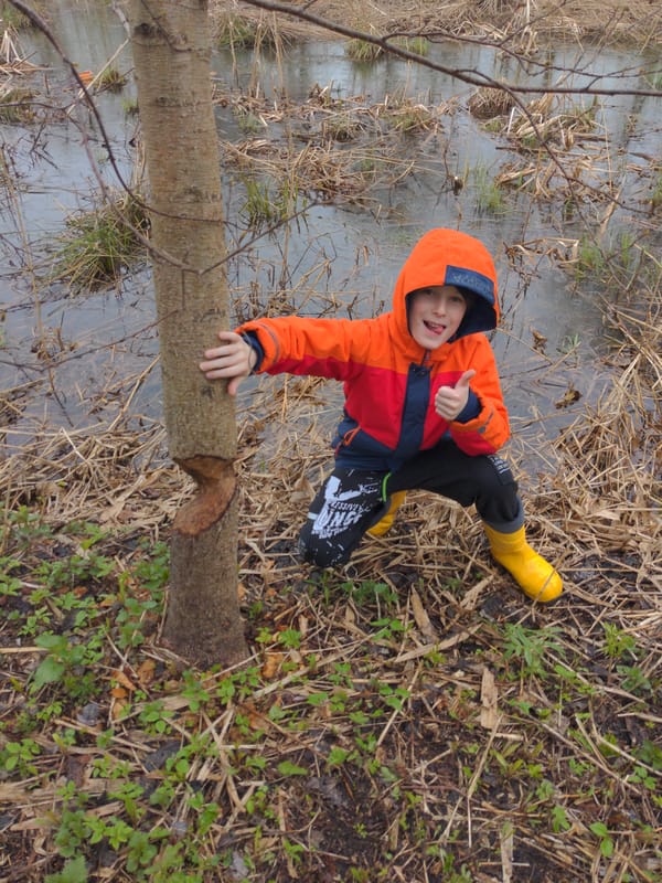 Child plays near stream in Khimki marshland