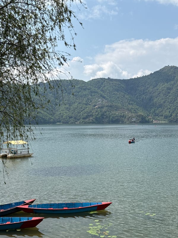 Morning activity at Phewa Lake, Pokhara captures boating and lakeside moments
