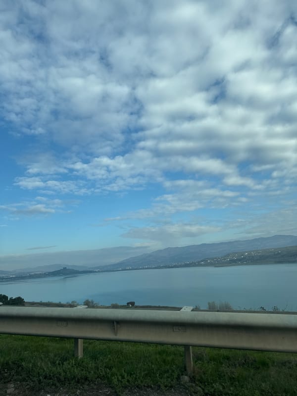 Early morning car journey captured near Tbilisi waterfront