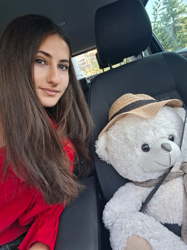 Red top, road trip vibes, and a seatbelted teddy bear