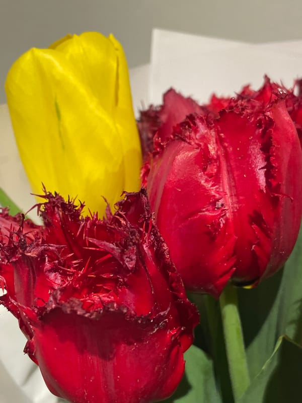 Still life photography captured in Batumi shows flowers, fruit