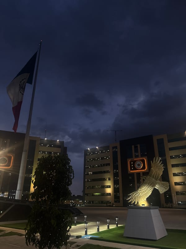 Nighttime scenes documented across Mexico City including flags, buildings