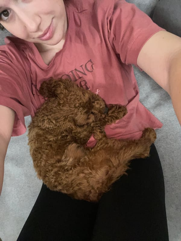 Sofia resident captures quiet afternoon with beloved pets