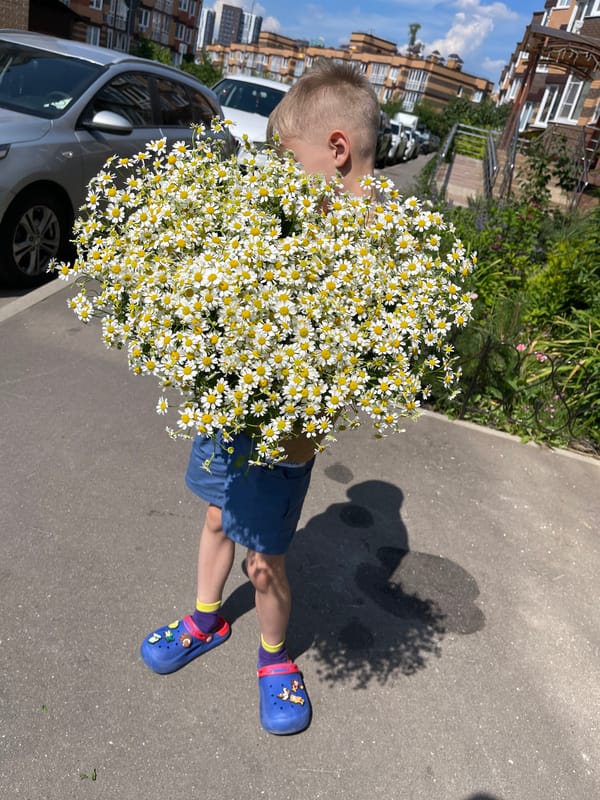 Fresh flower bouquets on a summer morning in Kommunarka