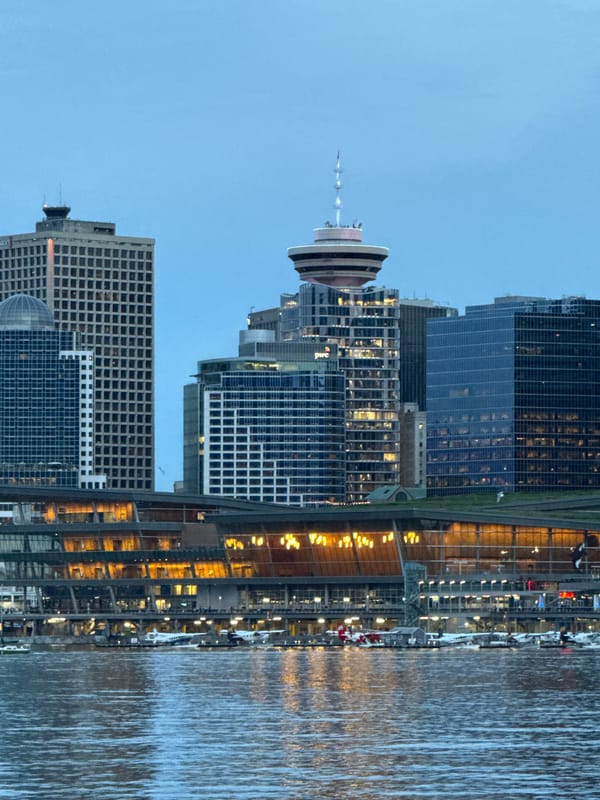 Downtown Vancouver waterfront and wildlife observed during morning hours