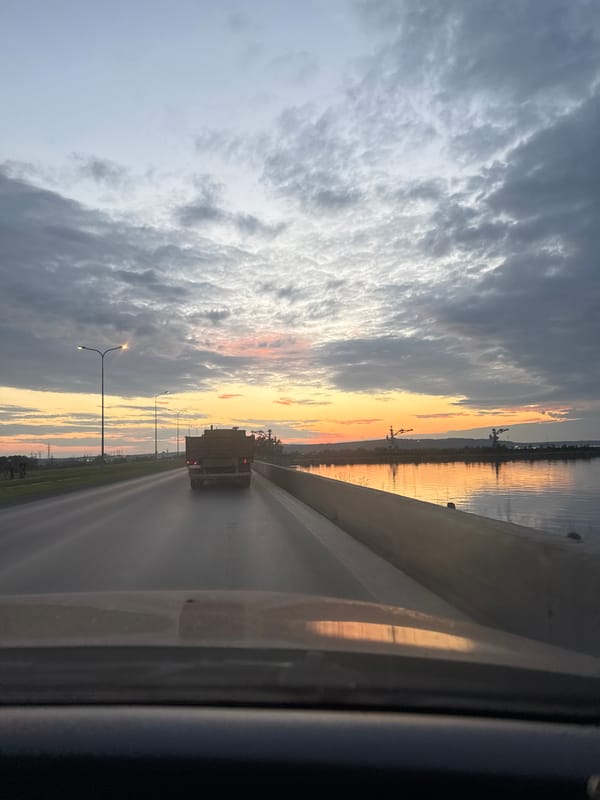Woman documents sunset evening in Chaikovsky, Russia with flowers