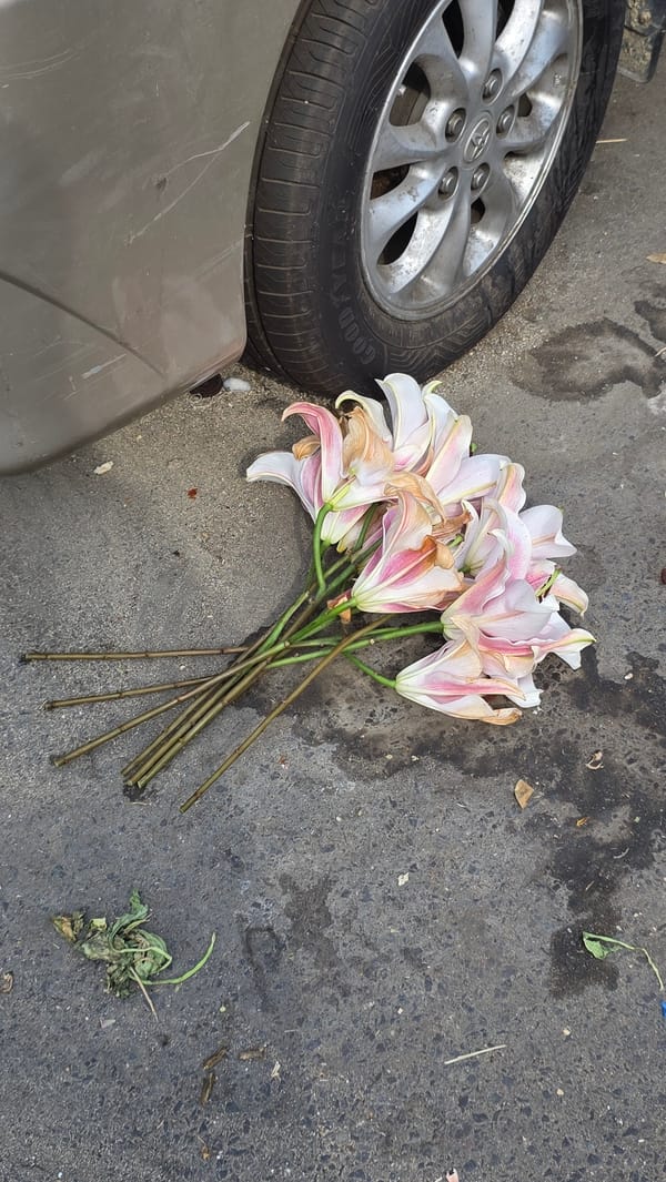 Morning street life captured across Nha Trang Ward