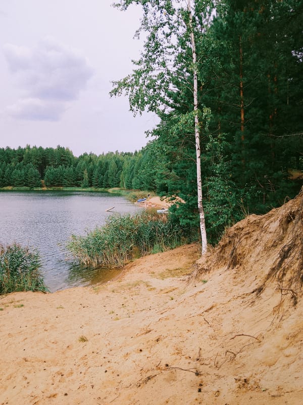 Relaxed summer afternoon at a forested lake beach in Noviy