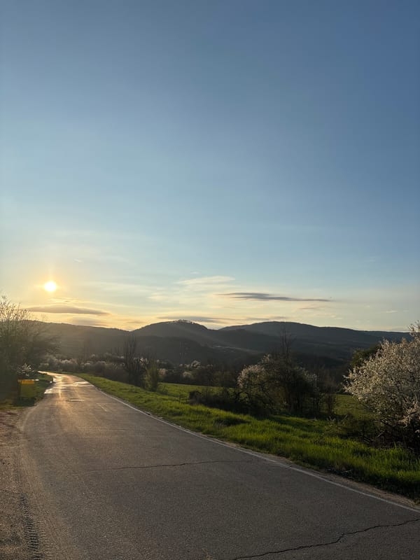 Rural Bulgaria landscapes documented during early morning hours