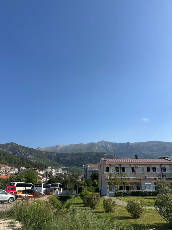 Morning moments captured across Budva: coffee, cats, clear skies