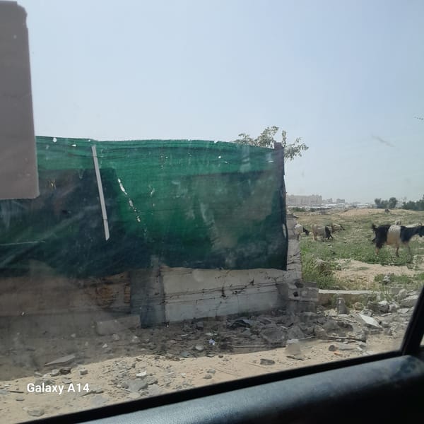 Vehicle passenger documents damaged structures in al-Qarara, Palestinian Territory