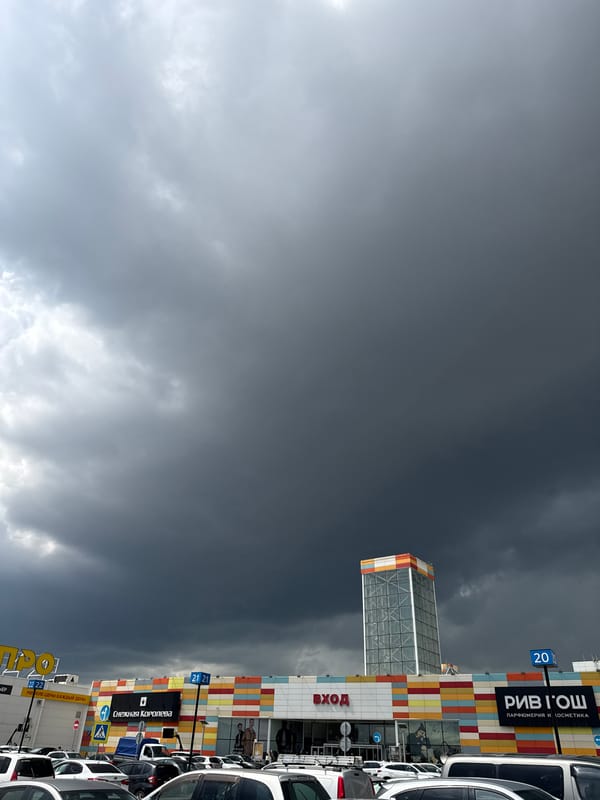 Rainy morning drive through Krasnoyarsk with a dog in tow
