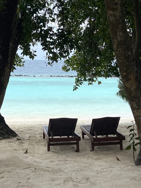Beach scene documented with chairs, crab, shells over 46 minutes