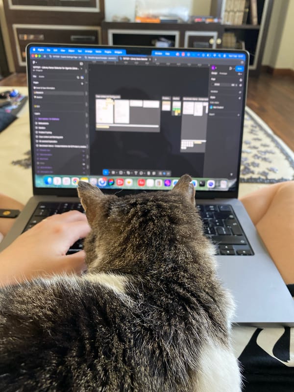 Morning routine with cat puzzle, laptop work, measured meals
