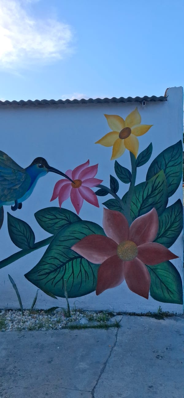 Colorful murals and green spaces documented in Tinaquillo, Venezuela