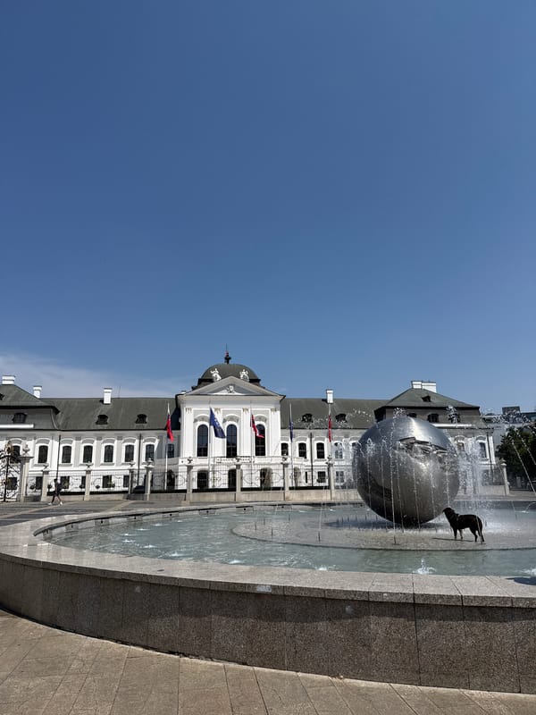 Dog plays in fountain outside Bratislava's Presidential Palace