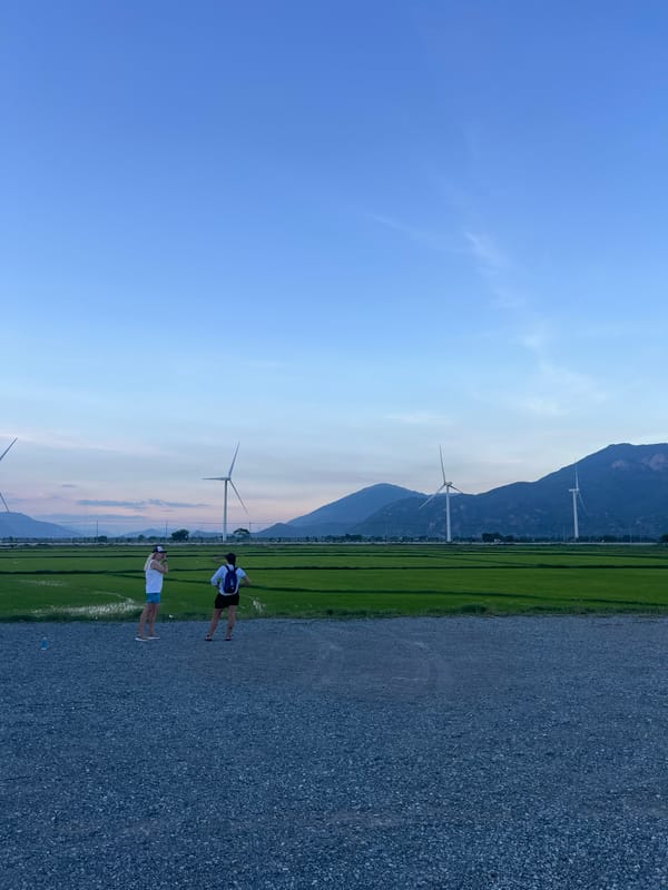 Two people observe rice paddies at dusk in Ninh Hai