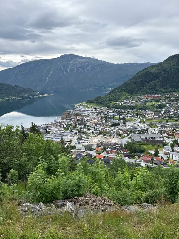 Coastal town nestled between water and forested mountains on a cloudy day