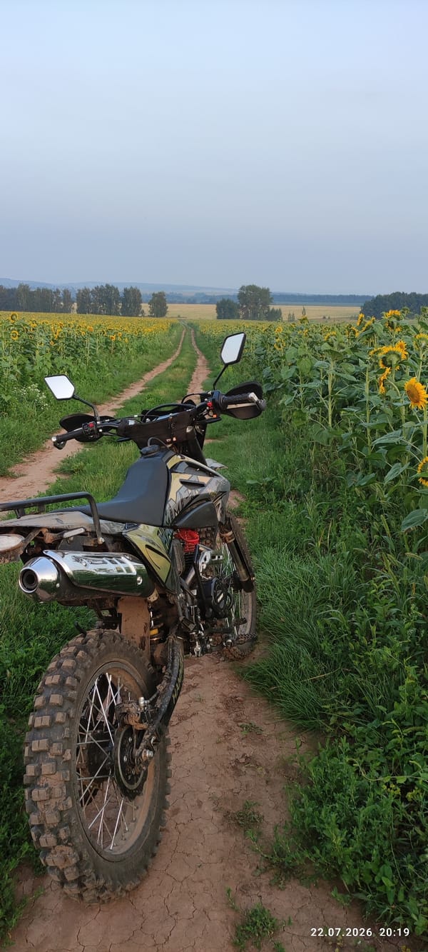 Dirt bike parked in a sunflower field at sunset