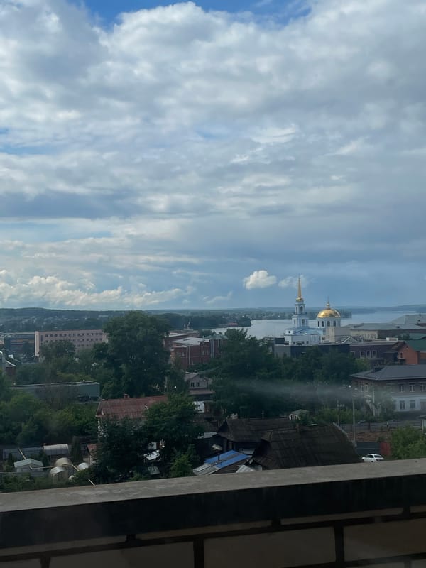 Quiet domestic moments with pets and flowers in Votkinsk