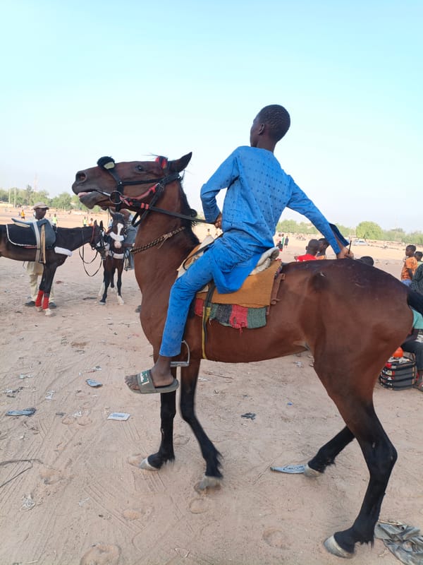 Horseback riding gathering observed in Giginyu, Nigeria