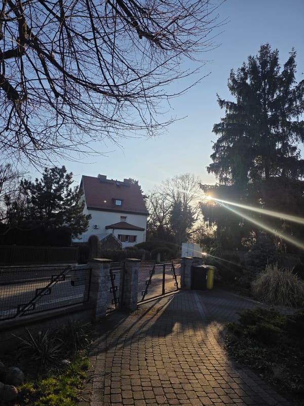 Spring blooms and sunny residential scenes captured in Wrocław