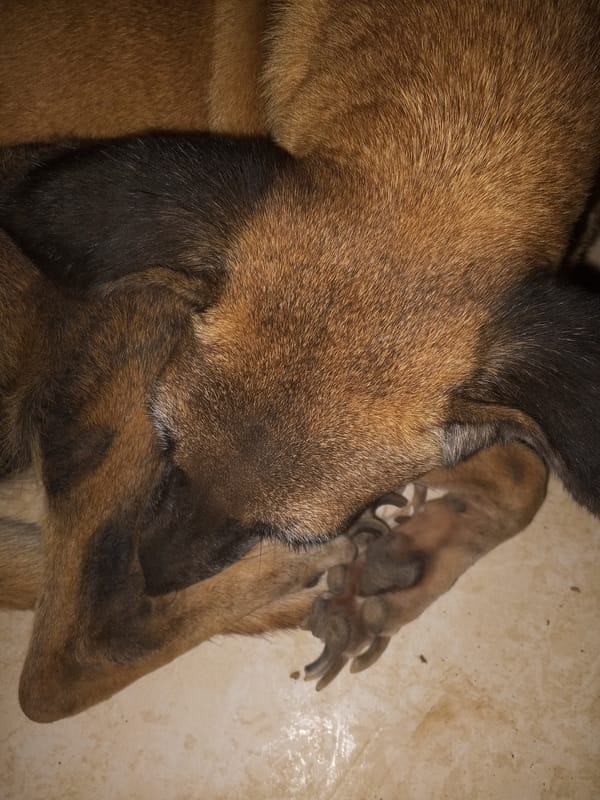 Quiet nighttime moments captured in Juan Griego, Venezuela