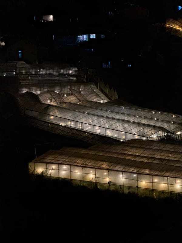 Evening moments captured across gardens and greenhouses in Da Lat