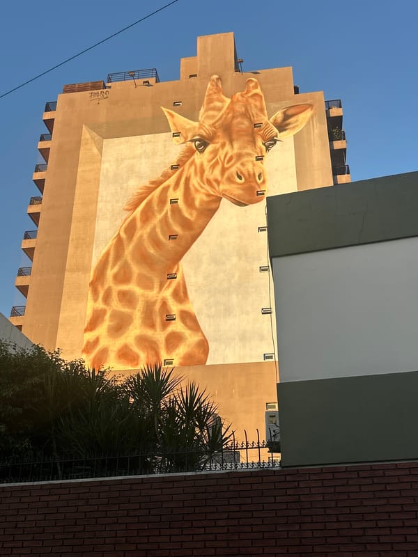 Large giraffe mural spotted on Buenos Aires building exterior