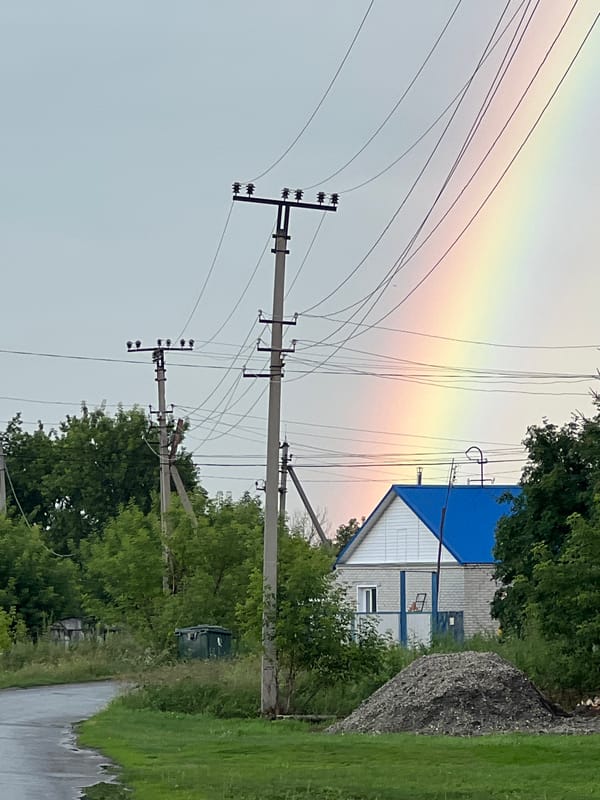 Rainbow and rain-soaked roses in rural Pivkino, Russia