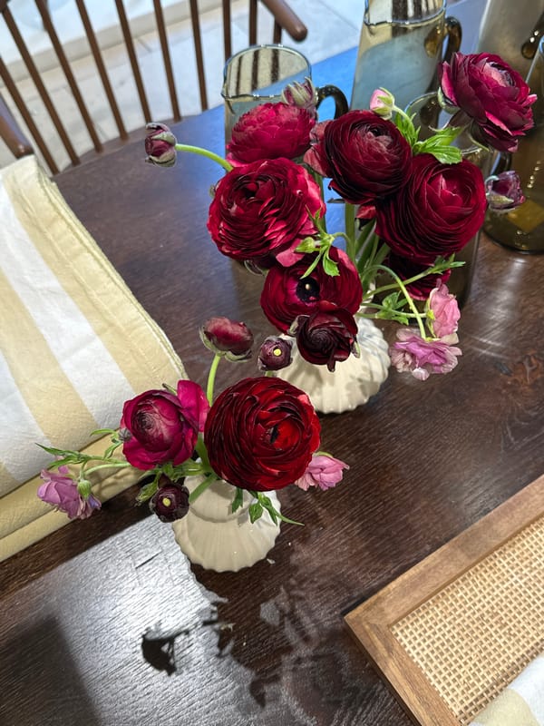 Spring floral and plant displays captured in Madrid