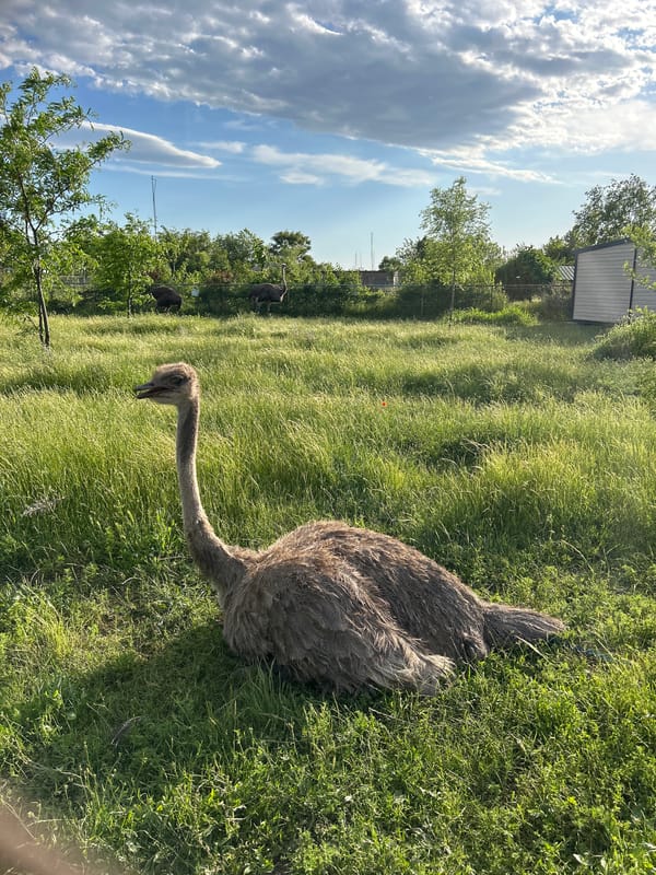 Zoo visitors document animal displays at Burgas facility