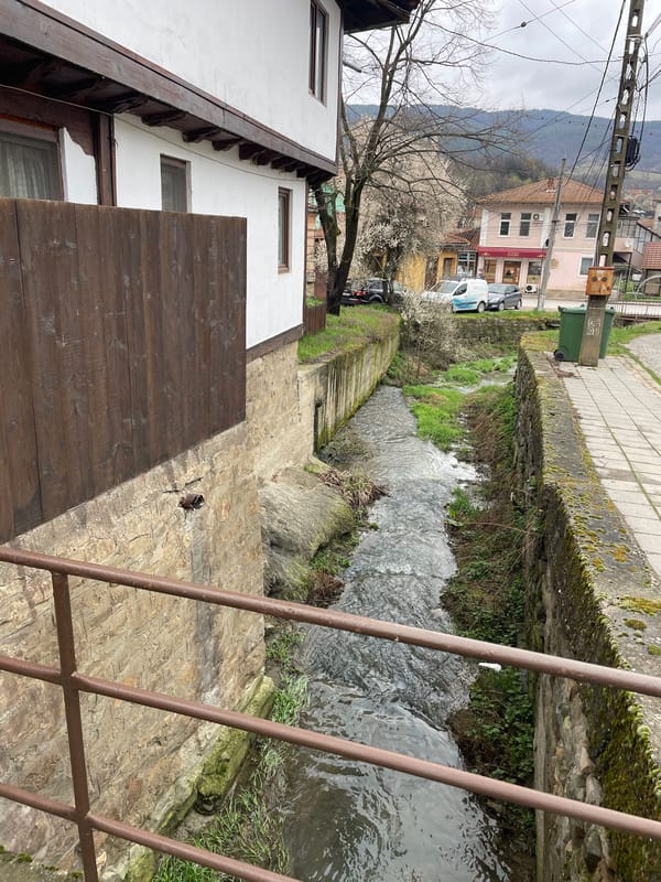 Elena Bulgaria street scenes and stream documented by witnesses