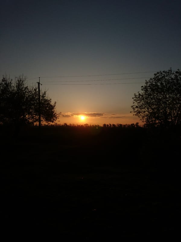 Witness captures ordinary roadside moments during ten-minute evening walk