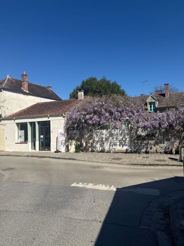 Spring wisteria blooms documented along historic Barbizon street