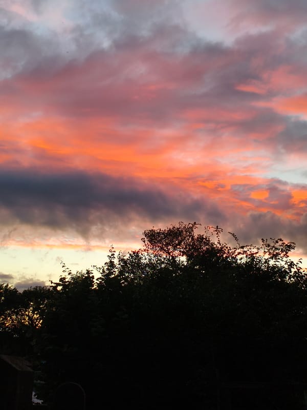 Evesham at midsummer dusk: canals, blooms, and golden light